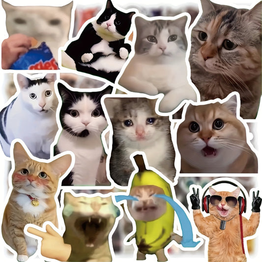 100pcs Funny Cat Stickers - Cute Kitten Meme Designs with Hats, Fashion Glasses & Peace Signs, Self-Adhesive Paper Decals for Water Bottles, Laptops, Skateboards, Guitars, Luggage, Helmets, Cameras, Notebooks - Durable Decorative Stickers for, Cat