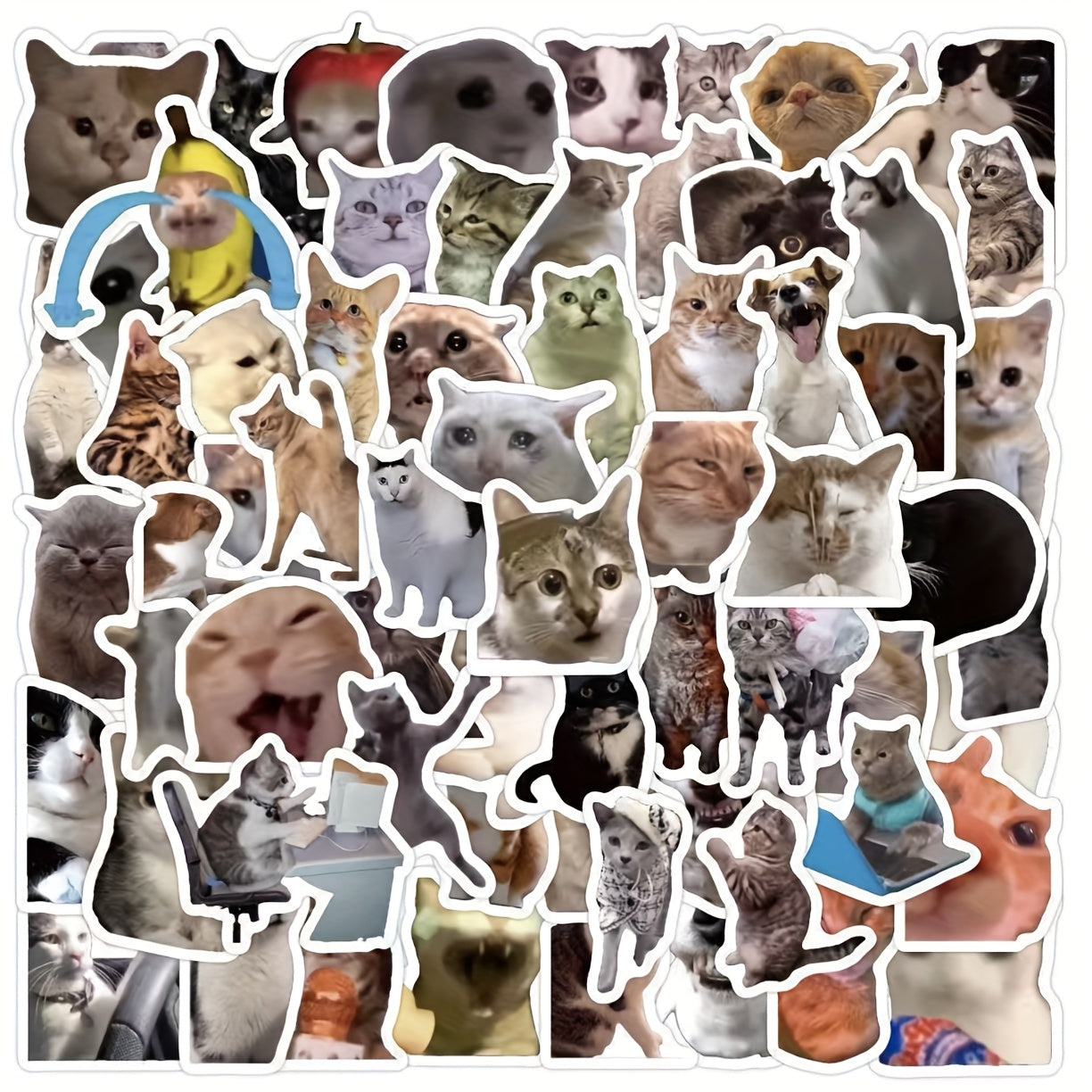 100pcs Funny Cat Stickers - Cute Kitten Meme Designs with Hats, Fashion Glasses & Peace Signs, Self-Adhesive Paper Decals for Water Bottles, Laptops, Skateboards, Guitars, Luggage, Helmets, Cameras, Notebooks - Durable Decorative Stickers for, Cat