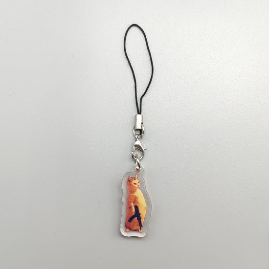 2D Flat, 2D Flat 1pc Key Chain Mobile Phone Charm Car pendant cute cat vomit meme dog with red mask meme black cat screaming meme cat in war meme gift for friend
